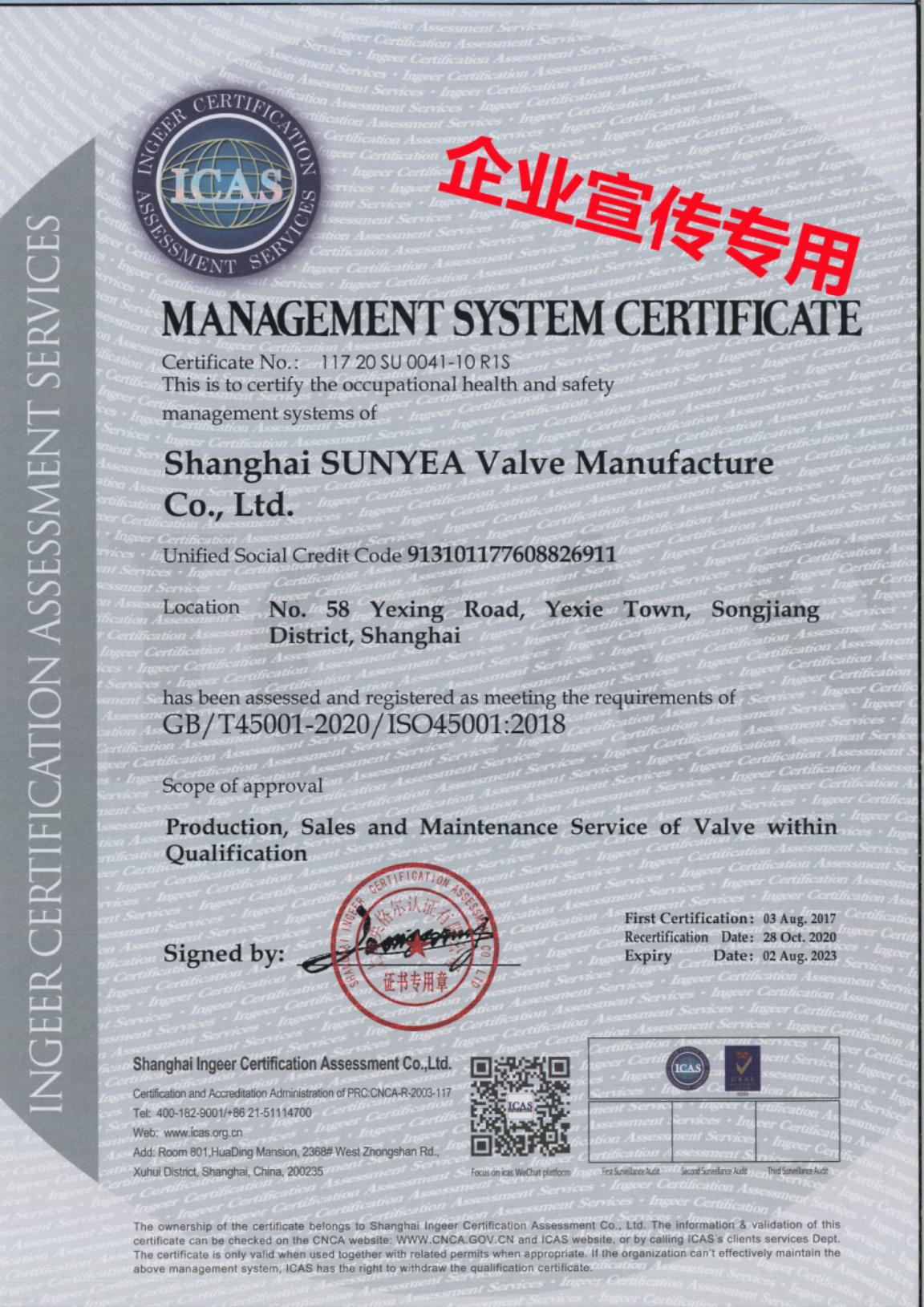 職業(yè)健康-英.png