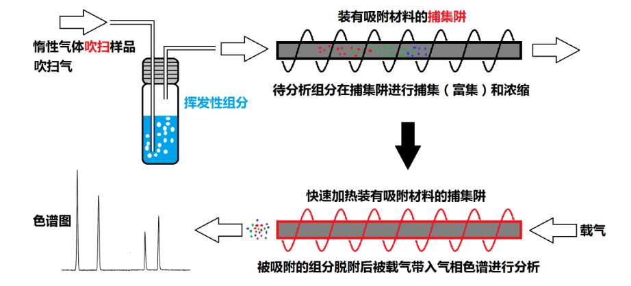 氣相色譜的樣品吹掃捕集裝置