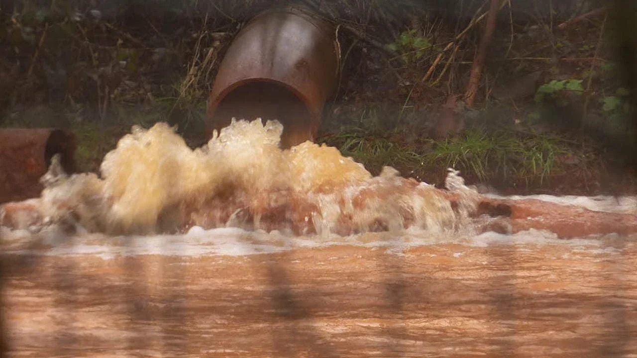 Screw Sludge Dewatering Machine