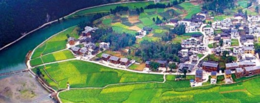 立体森林碳汇都会