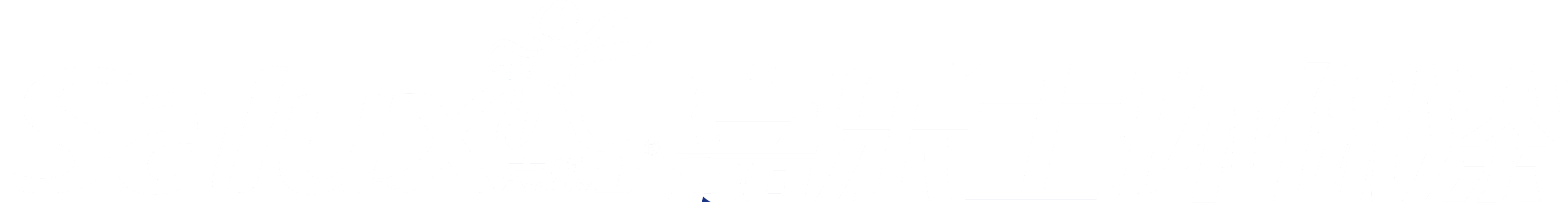 廣東順德嘉樂士涂料有限公司