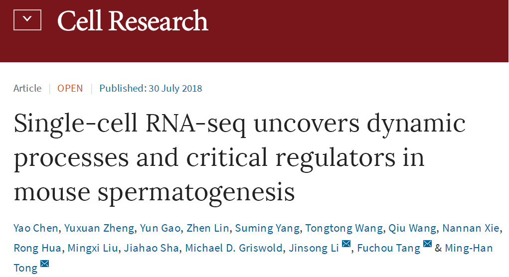 小鼠精子发生过程转录组动态变化图谱-滔博生物