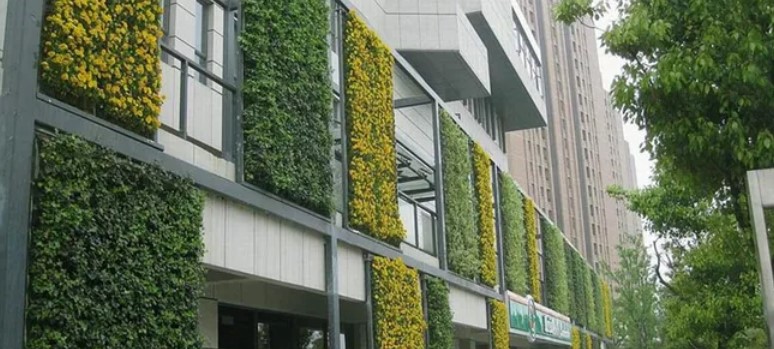 设计师的新宠——室内绿植墙