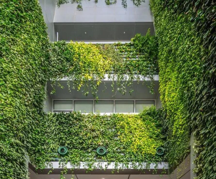 植物墙 