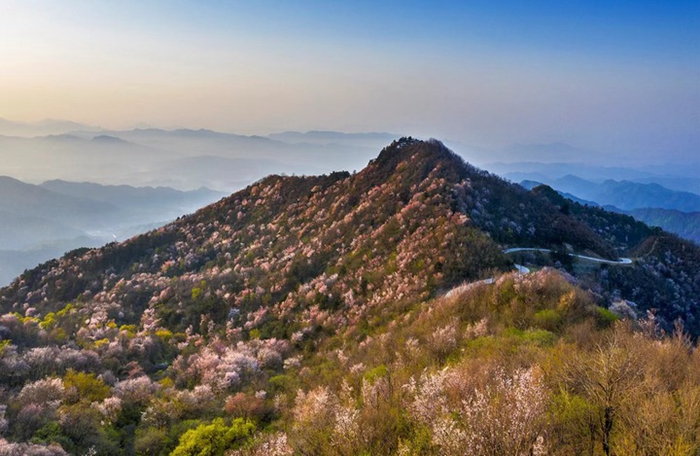 奋进新征程 建功新时代·老区新貌｜产业强、农村美、群众富——今日大别山居图