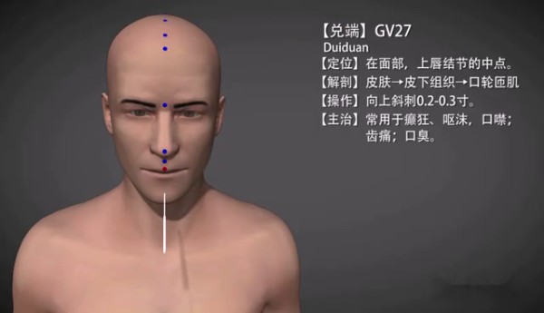 中醫經(jīng)脈腧穴可視化教學(xué)平臺