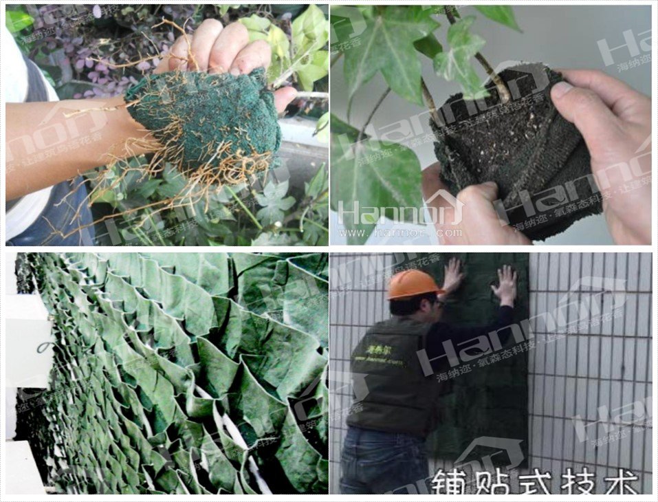 LEHU乐虎