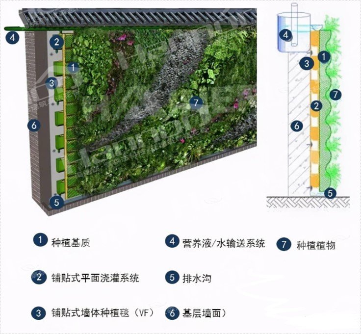 LEHU乐虎