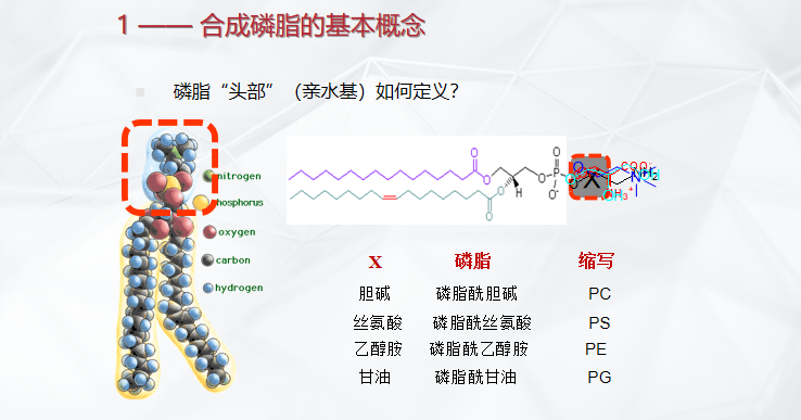 微信圖片_20211025131257.png