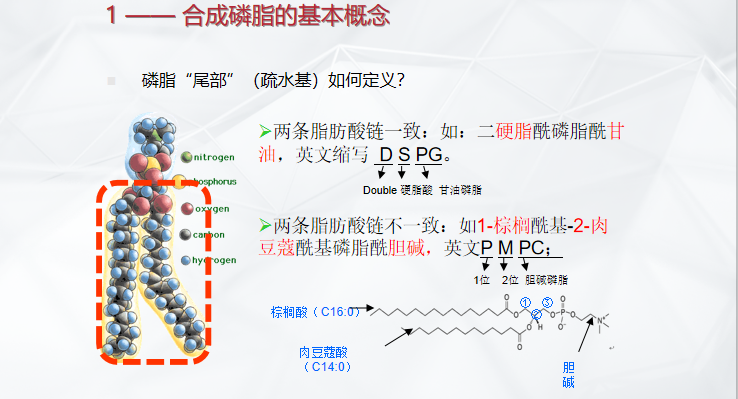 微信圖片_20211025131301.png