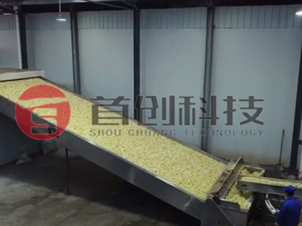 陳皮烘干機(jī)