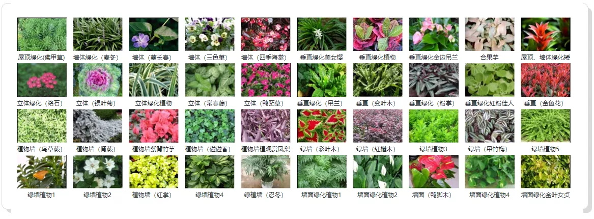 LEHU - 乐虎 - (国际) 游戏官方网站