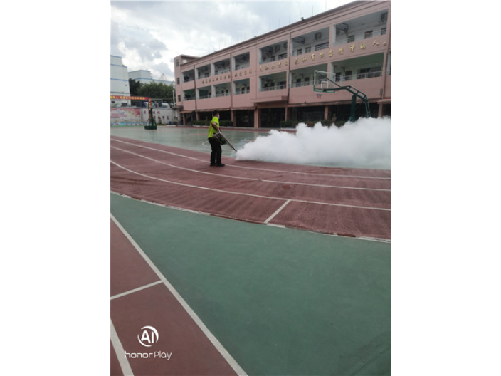 “四害”指的是哪四害？我們應(yīng)該如何除四害呢？