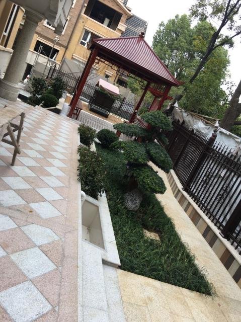 保利紫晶山53棟-1