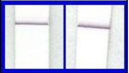 ͼƬ1.png