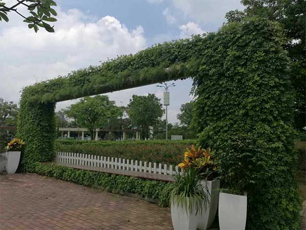 LEHU乐虎