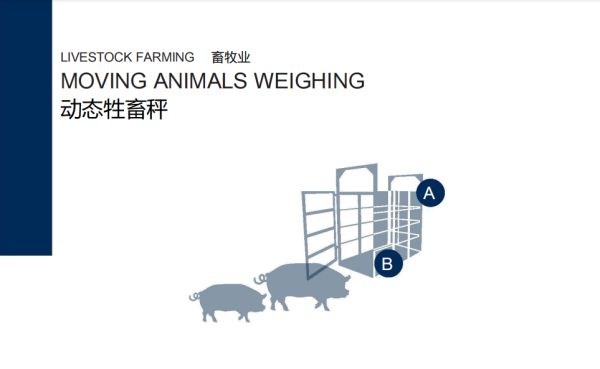 稱重系統(tǒng)（PTM）