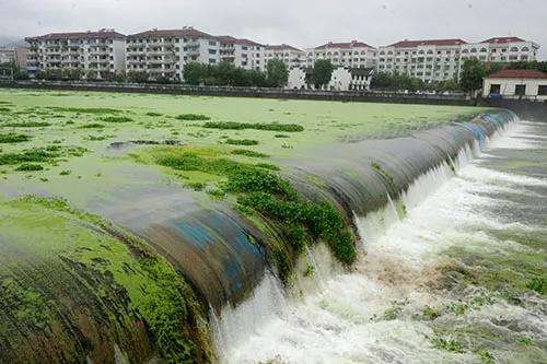 好氧有機物污染.jpeg 好氧有機物污染.jpeg