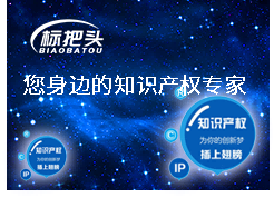 關于商標駁回復審的一些問題