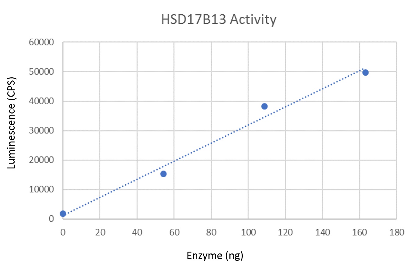 HSD17B13 (NM_178135) 人重組蛋白