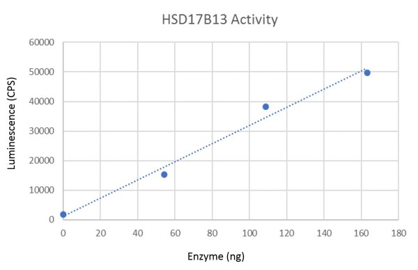 HSD17B13 (NM_178135) 人重組蛋白