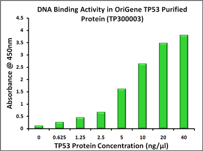 p53 (TP53) (NM_000546) 人重組蛋白