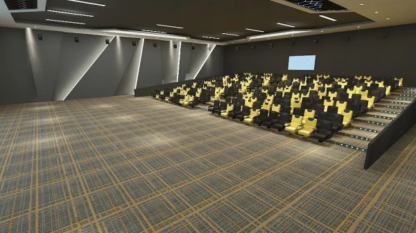 首格定制地毯電影廳用