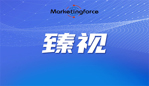 臻視