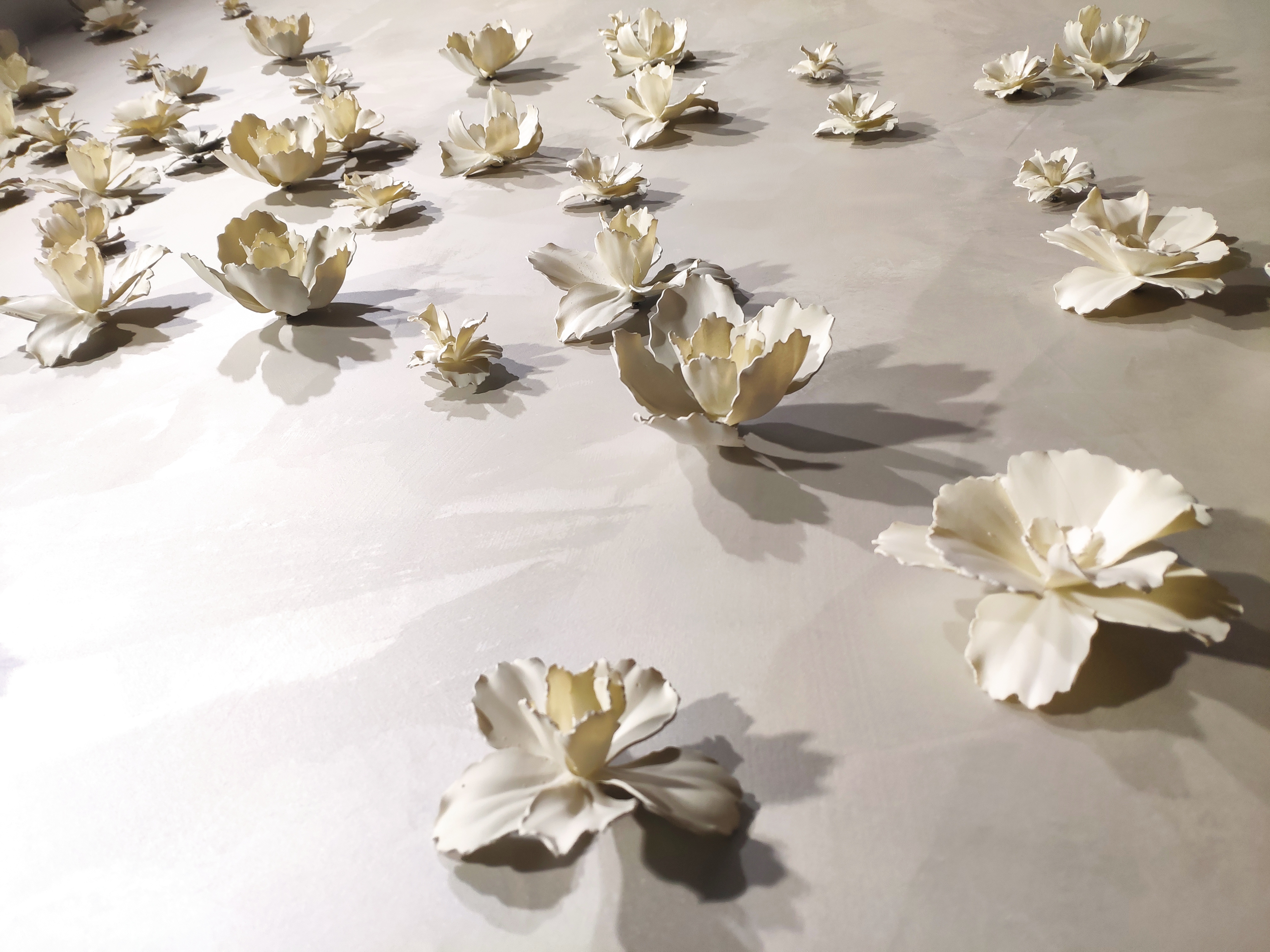 以3D之名讓花朵實現永生