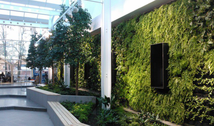 AG一飞冲天300倍游戏(中国游)·官方网站