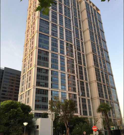 国府龙凤