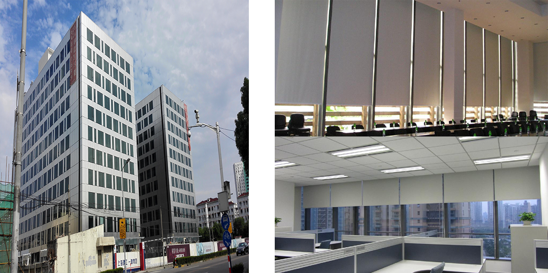 国府龙凤.png