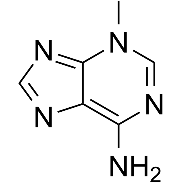 3-Methyladenine ( 3-甲基腺嘌呤; 3-MA)