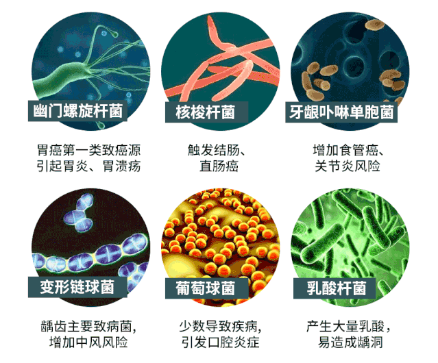 4.gif