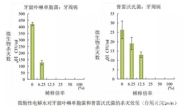 5.webp