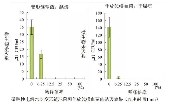 6.webp