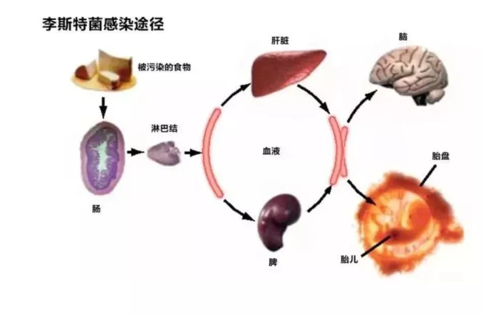 4.webp