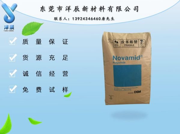 玻纖增強級PA6荷蘭DSM K224-G6 