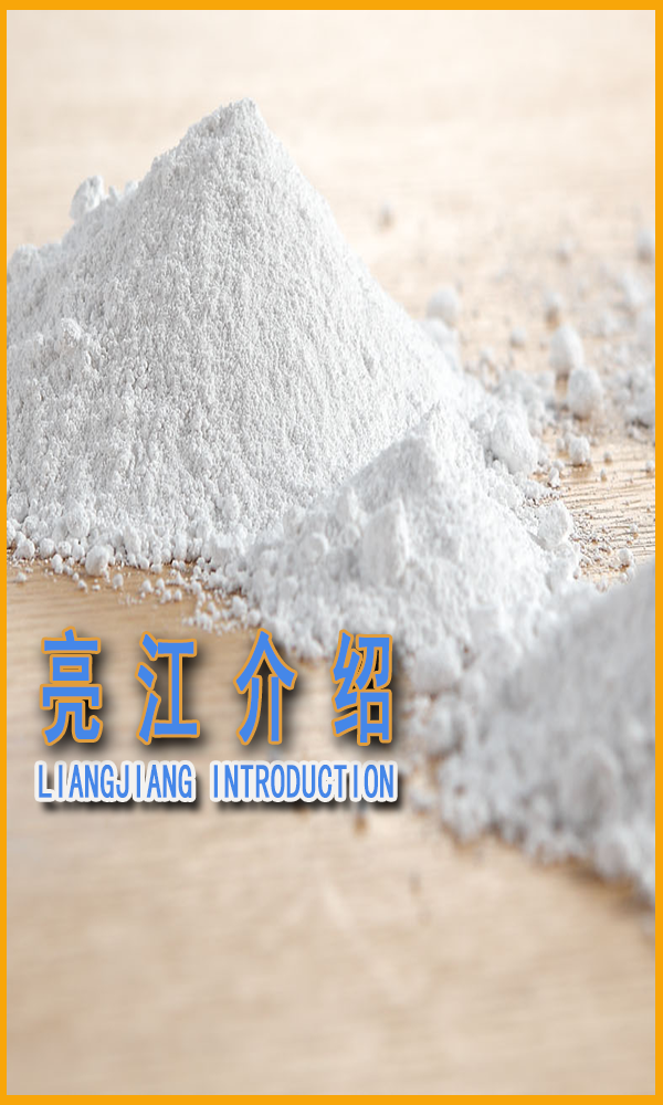 公司介紹