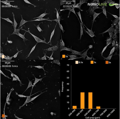 Nanolive實時無標記活細胞成像系統