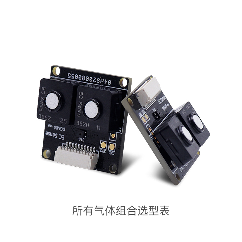 DGM10 智能雙氣體模組