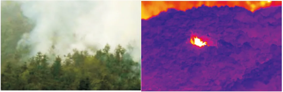 紅外熱成像火災(zāi)預(yù)覽圖.png