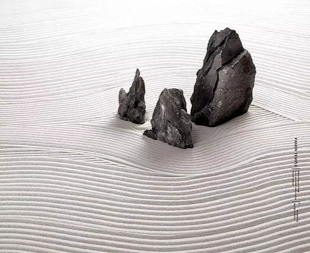 陳仕·魯頌1.jpg