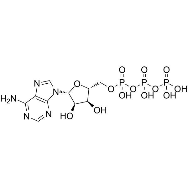 ATP (腺苷三磷酸)