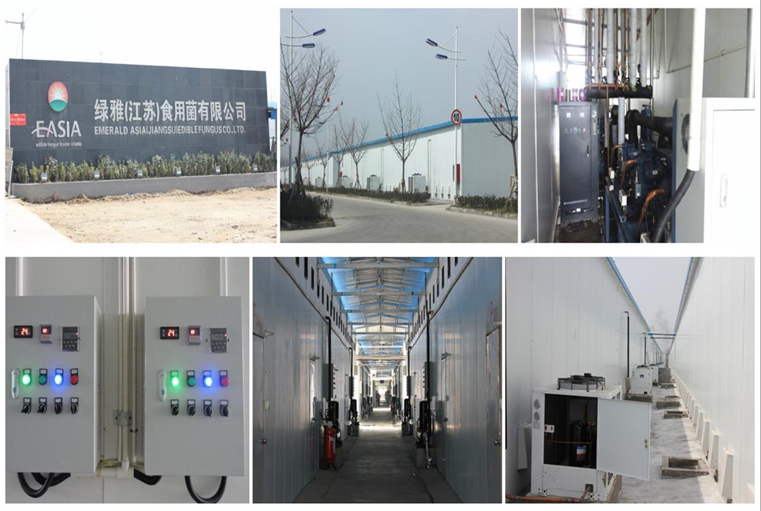 江蘇綠雅現(xiàn)代農(nóng)業(yè)科技股份有限公司案例