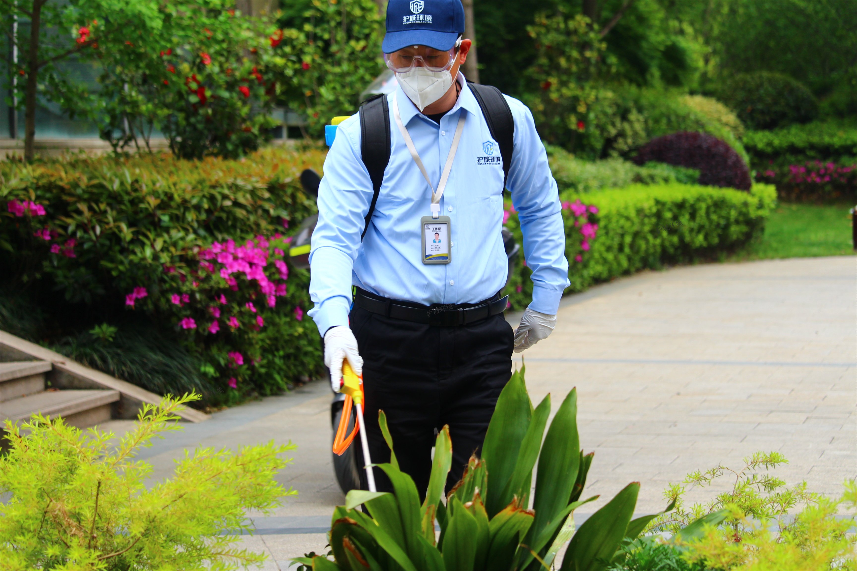 室外綠化進行蚊蟲消殺