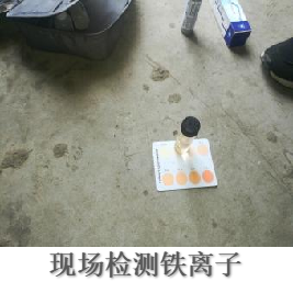 現(xiàn)場(chǎng)檢測(cè)鐵離子.png