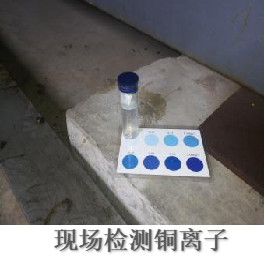 現(xiàn)場(chǎng)檢測(cè)銅離子.png