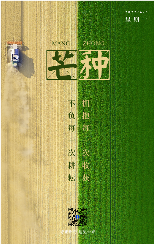 芒種.png