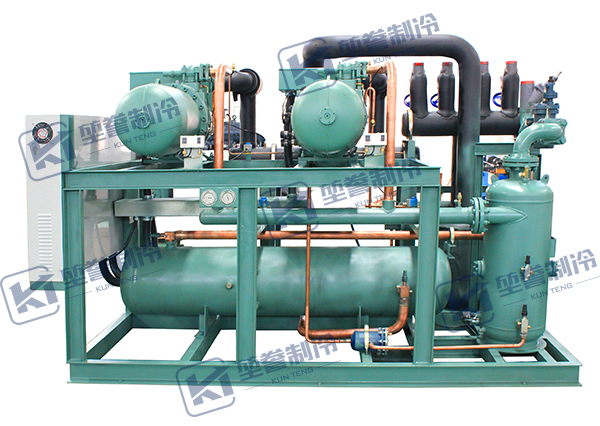 KTLG系列比澤爾中高溫螺桿兩并聯(lián)-蒸發(fā)冷